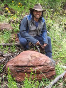 Bomba piroclástica proveniente del volcán LLaima