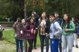 Niños y niñas observan aves en la Plaza Armas de Villarrica junto a una tallerista