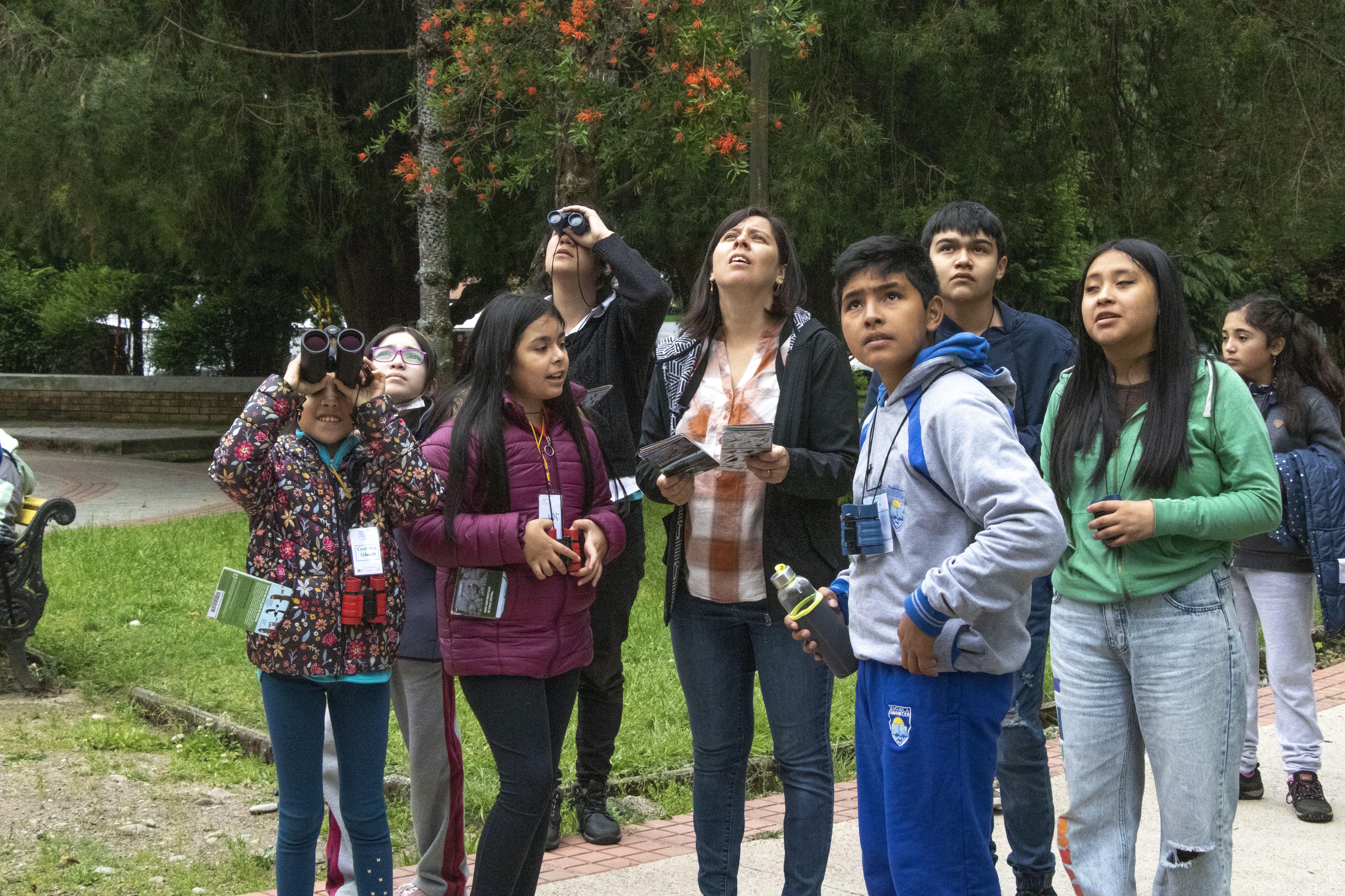 Niños y niñas observan aves en la Plaza Armas de Villarrica junto a una tallerista