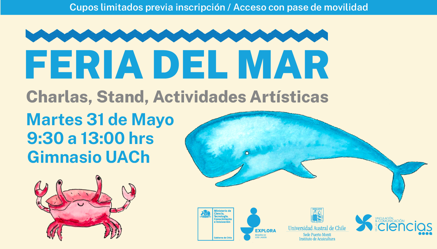 Feria del Mar Los Lagos