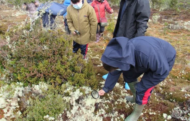 Colegio El Pilar de Ancud_Salida Circuito Las Turberas