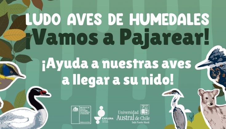 BANNER WEB EXPLORA CAMPAMENTO-01
