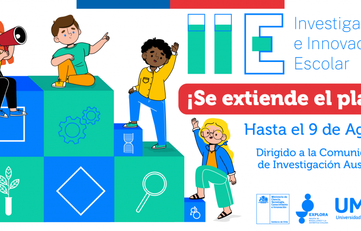 WEB IIE EXTENSION CONVOCATORIA-01