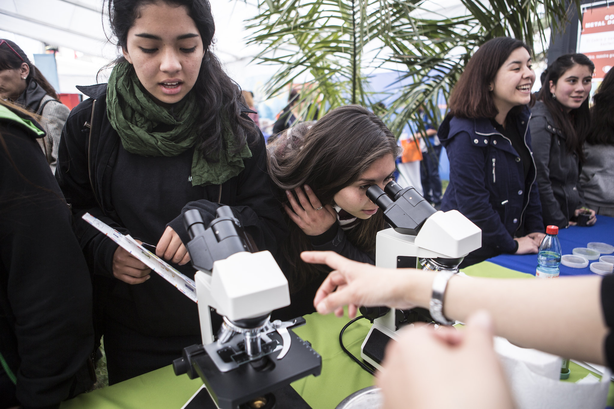 Investigación Científica Escolar