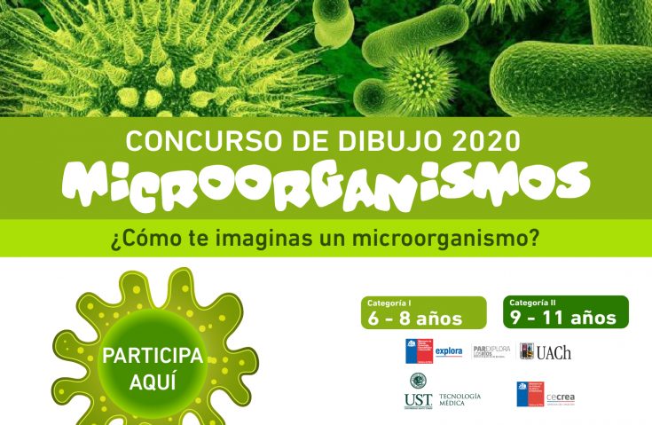 microorgMesa de trabajo 1-100