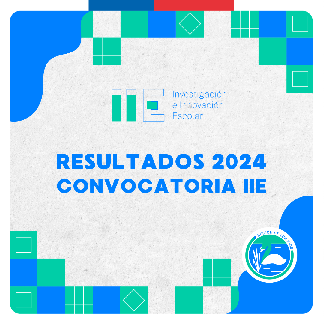 Resultados programa IIE 2024