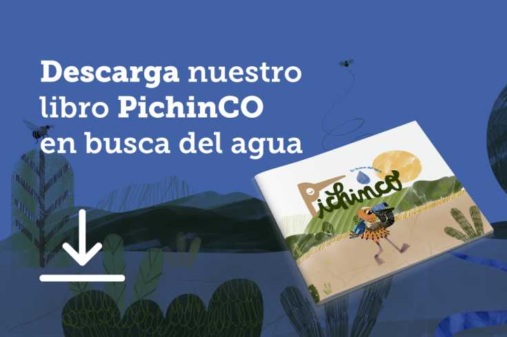 Pichinco-Explora-Rmnorte-Banner-descarga-gratis