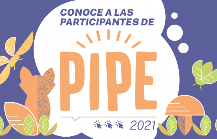 Selección-PIPE-2021-WEB