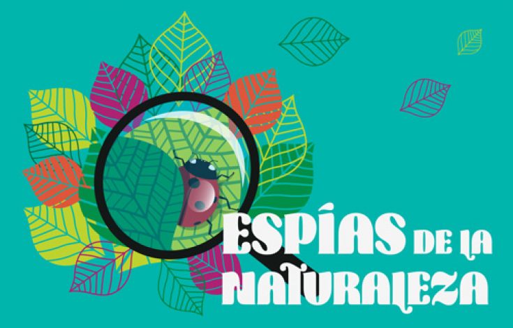 BOX-Espias-Naturaleza-Artequin