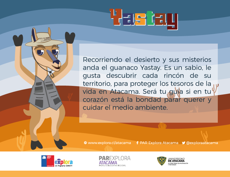 Conoce a la Yakana y el Yastay, nuestros nuevos amigos de PAR EXPLORA