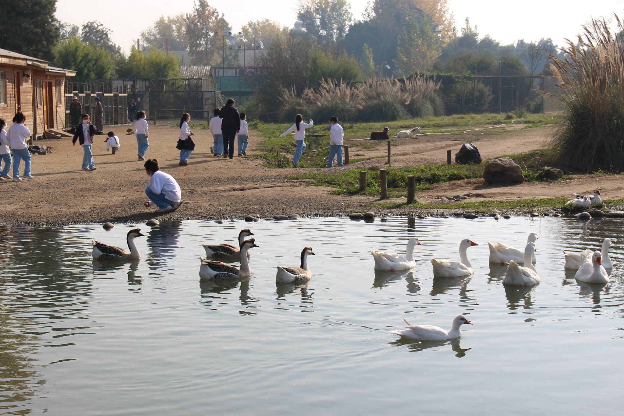 Celebra el Mes de la juventud en el Jardín Botánico UTALCA Maule